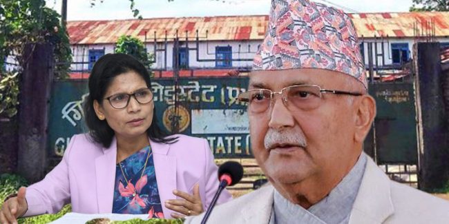 गिरिबन्धुले जसरी जग्गा सट्टापट्टा गर्न निवेदन दिने केपी ओली ट्रस्ट सहित १०१ कम्पनीको नाम सार्वजनिक