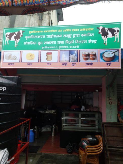 हात्तिगाैडामा दुग्ध संकलन तथा विक्री केन्द्र स्थापना